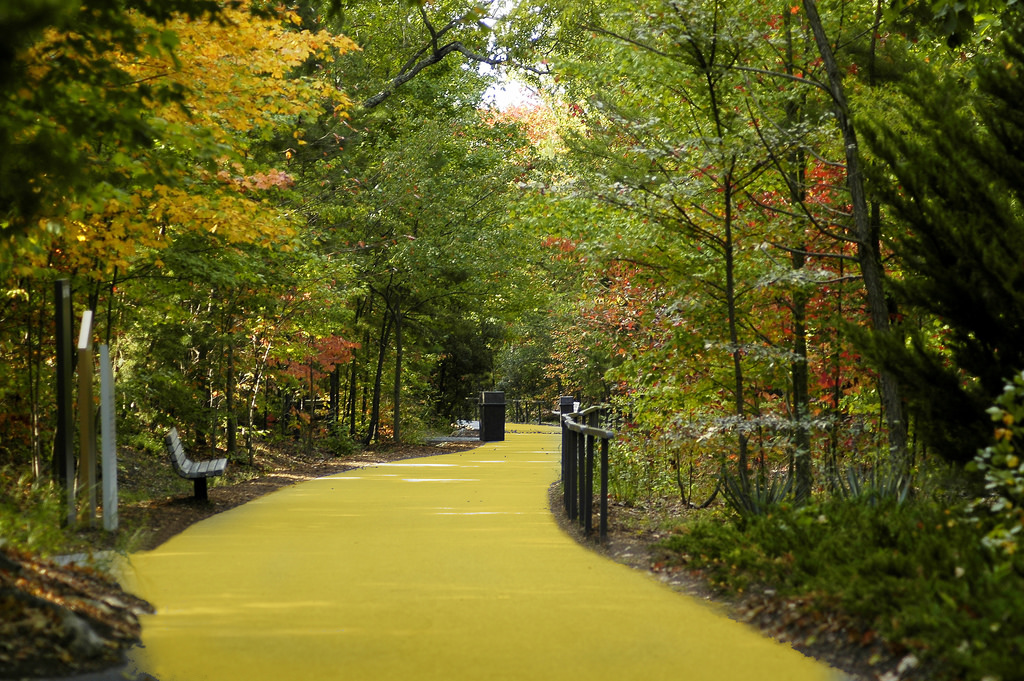 there-s-no-place-like-home-the-yellow-brick-road-to-a-new-colony-site